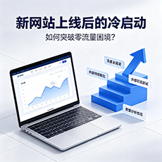 西区建站-新网站上线后的冷启动：如何突破零流量困境？
