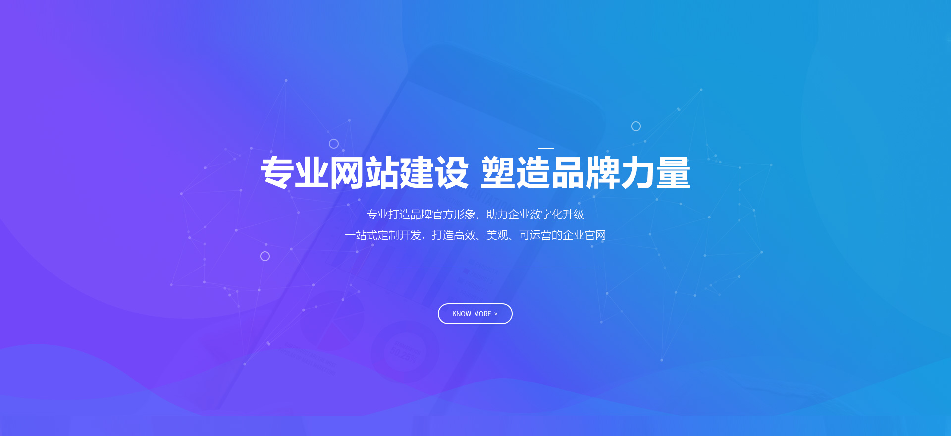 盐边建站-专业网站建设 塑造品牌力量