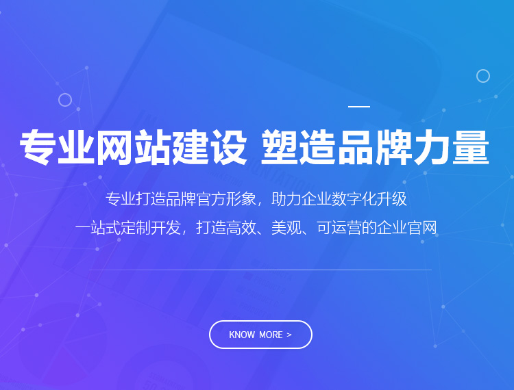 盐边建站-专业网站建设 塑造品牌力量